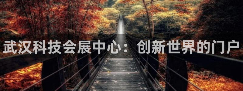 果博平台真实吗安全吗可信吗是真的吗：武汉科技会展中心：创新世界的门户