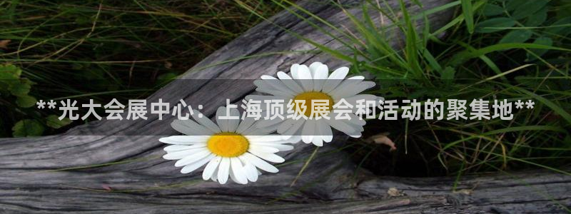 果博园简介：**光大会展中心：上海顶级展会和活动的聚集地**