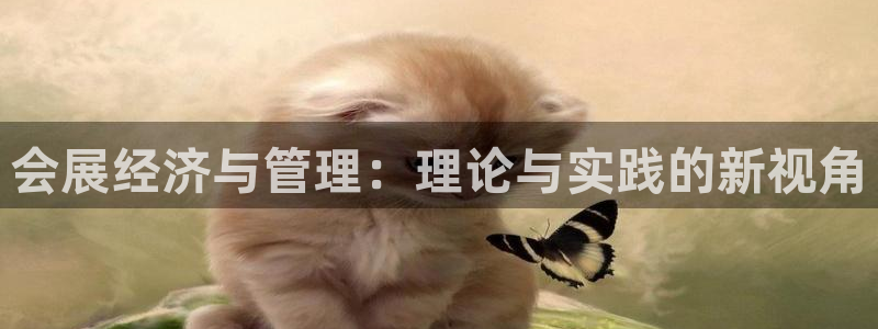 果博注册充值多少钱：会展经济与管理：理论与实践的新视角