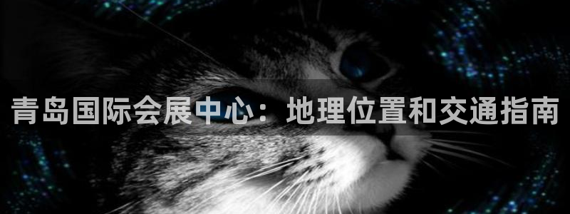 果博注册平台怎么注册的：青岛国际会展中心：地理位置和交通指南