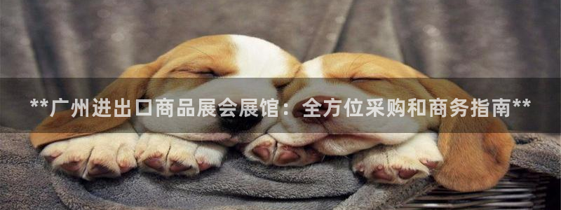 果博注册客服电话号码是多少：**广州进出口商品展会展馆：全方位采购和商务指南**