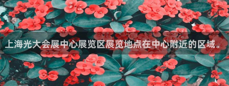 果博平台开户电话：上海光大会展中心展览区展览地点在中心附近的区域。