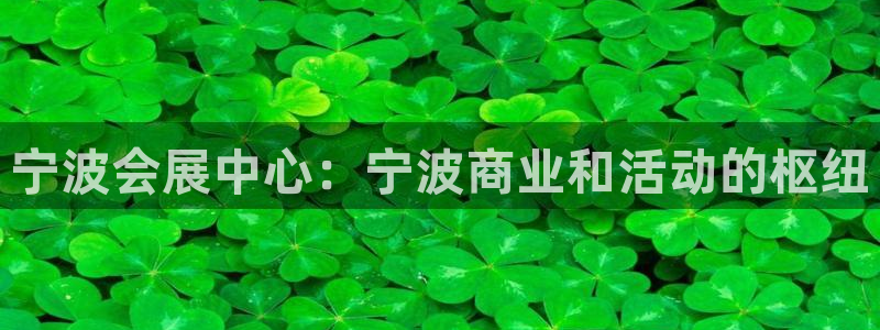 果博公司客服微信怎么加：宁波会展中心：宁波商业和活动的枢纽