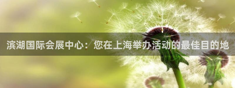 果博网站二维码：滨湖国际会展中心：您在上海举办活动的最佳目的地