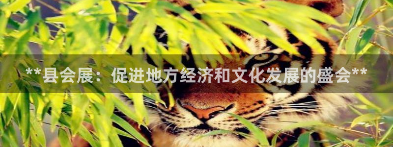 果博代理电话多少号码：**县会展：促进地方经济和文化发展的盛会**