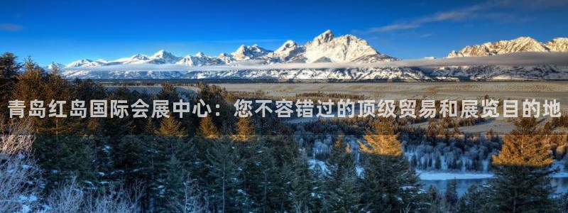 果博有假吗：青岛红岛国际会展中心：您不容错过的顶级贸易和展览目的地