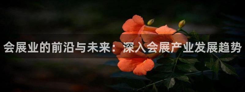 果博注册：会展业的前沿与未来：深入会展产业发展趋势