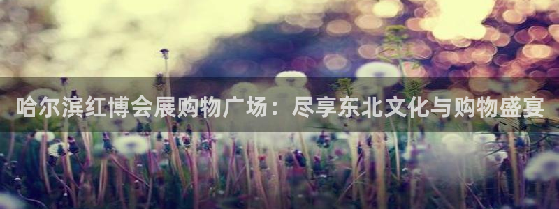 果博gbe168：哈尔滨红博会展购物广场：尽享东北文化与购物盛宴