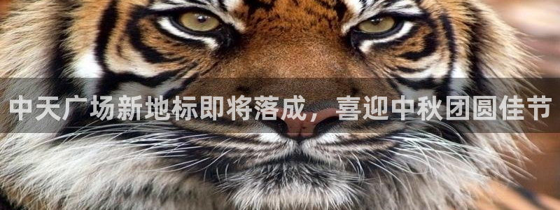 果博管理网：中天广场新地标即将落成，喜迎中秋团圆佳节