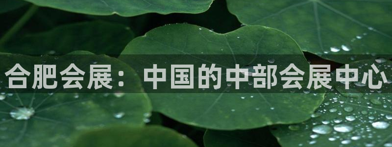 果博客服电话哪里找啊