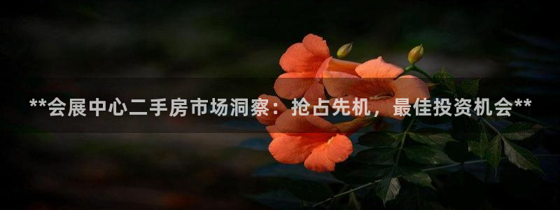 果博公司客服电话号码：**会展中心二手房市场洞察：抢占先机，最佳投资机会**