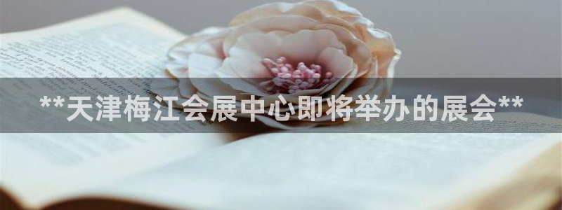 果博公司怎么开户