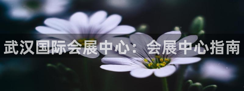 果博公司会员账号开户：武汉国际会展中心：