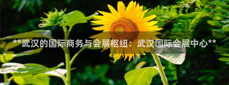 果博公司网站：**武汉的国际商务与会展枢纽：武汉国际会展中心**