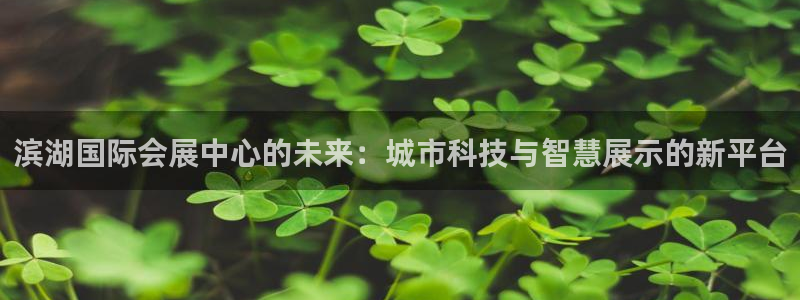 果搏东方客服：滨湖国际会展中心的未来：城市科技与智慧展示的新平台