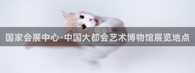 果博公司联系电话：国家会展中心-中国大都会艺术博物馆展览地点