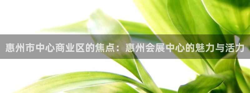 果博公司客服：惠州市中心商业区的焦点：惠州会展中心的魅力与活力