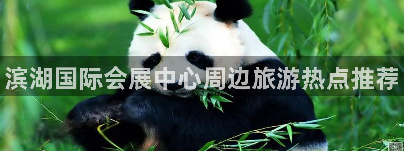 果博官网客服：滨湖国际会展中心周边旅游热