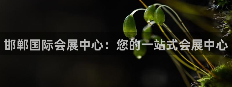 果博官网：邯郸国际会展中心：您的一站式会展中心