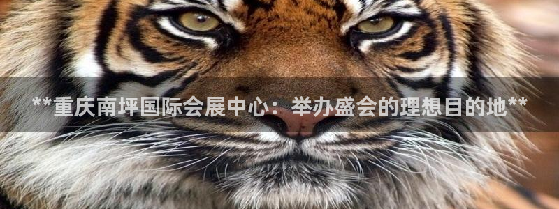 果博平台真实吗安全吗可信吗：**重庆南坪国际会展中心：举办盛会的理想目的地**