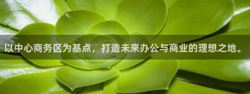 果博公司在线客服
