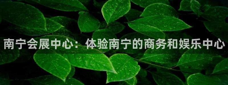 果博平台真实吗知乎推荐：南宁会展中心：体验南宁的商