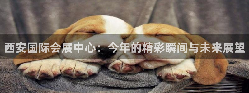 果博客服电话多少