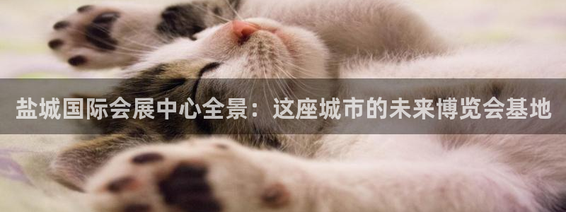 果博网站二维码：盐城国际会展中心全景：这