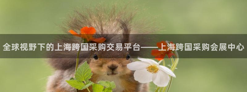 果博公司直属会员开户：全球视野下的上海跨国采购交易平台——上海跨国采购会展中心