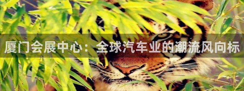 果博平台客服电话：厦门会展中心：全球汽车业的潮流风向标