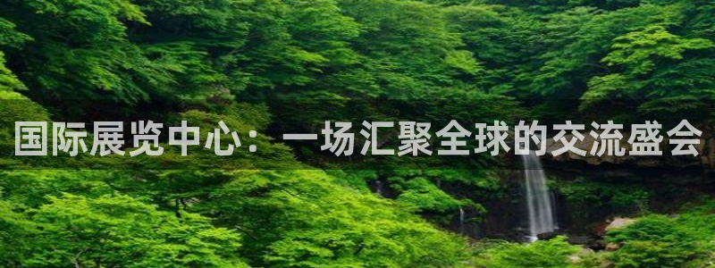 果博注册：国际展览中心：一场汇聚全球的交流盛会