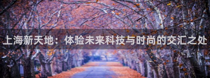 果博代理电话多少号码：上海新天地：体验未来科技与时尚的交汇之处