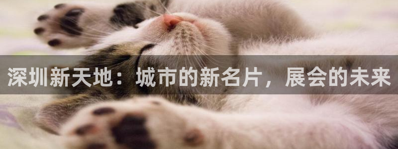 果博app官网下载：深圳新天地：城市的新