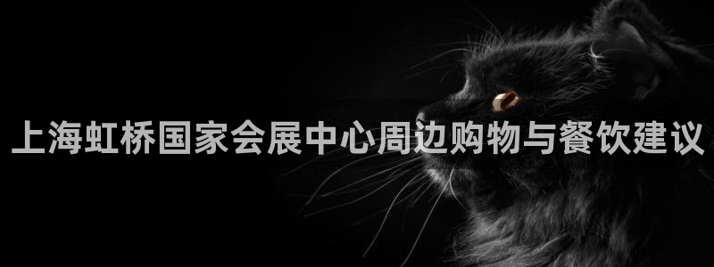 果博电话：上海虹桥国家会展中心周边购物与