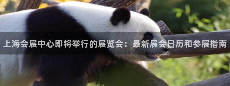果博官网客服电话号码：上海会展中心即将举行的展览会：最新展会日历和参展指南