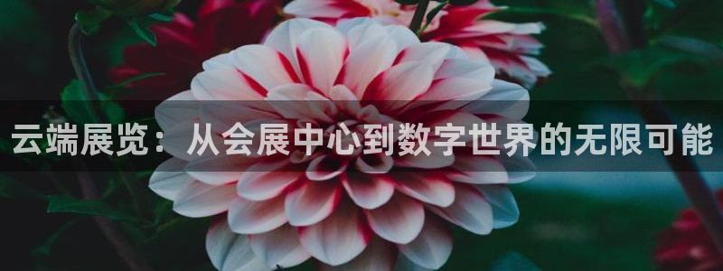 果博注册客服电话是多少啊：云端展览：从会展中心到数字世界的无限可能