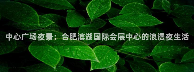 果博注册充值怎么退款：中心广场夜景：合肥滨湖国际会展中心的浪漫夜生活