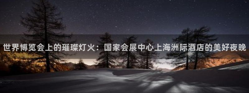 果博官网客服：世界博览会上的璀璨灯火：国家会展中心上海洲际酒店的美好夜晚
