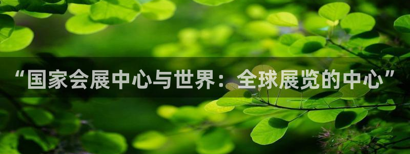 果博公司开户注册