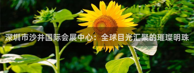 手机怎样下载果博：深圳市沙井国际会展中心