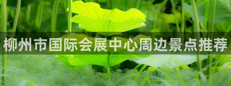 果博官网客服：柳州市国际会展中心周边景点