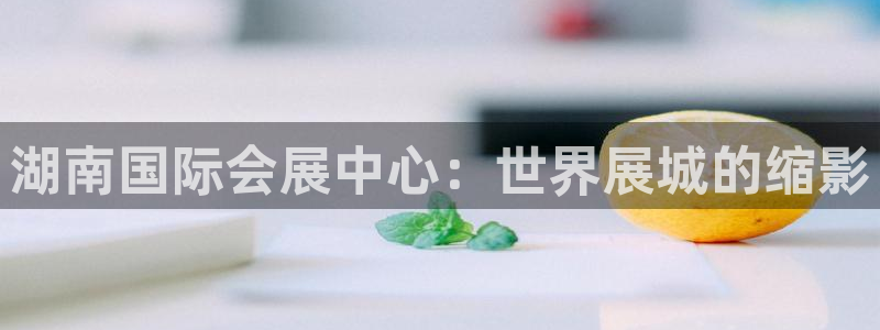 果博公司怎么注册会员：湖南国际会展中心：