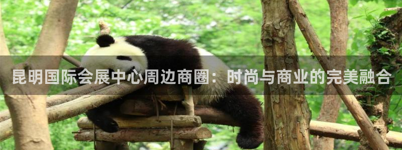 果博环保公司：昆明国际会展中心周边商圈：