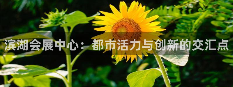 果博平台开户电话号码：滨湖会展中心：都市