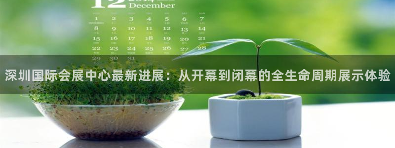 果博旗舰厅：深圳国际会展中心最新进展：从