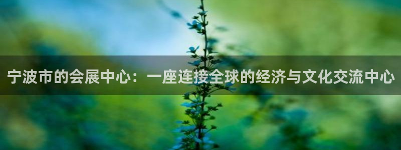 果博公司在线客服：宁波市的会展中心：一座