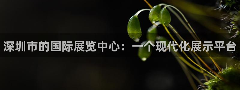 果博官网客服电话号码查询：深圳市的国际展